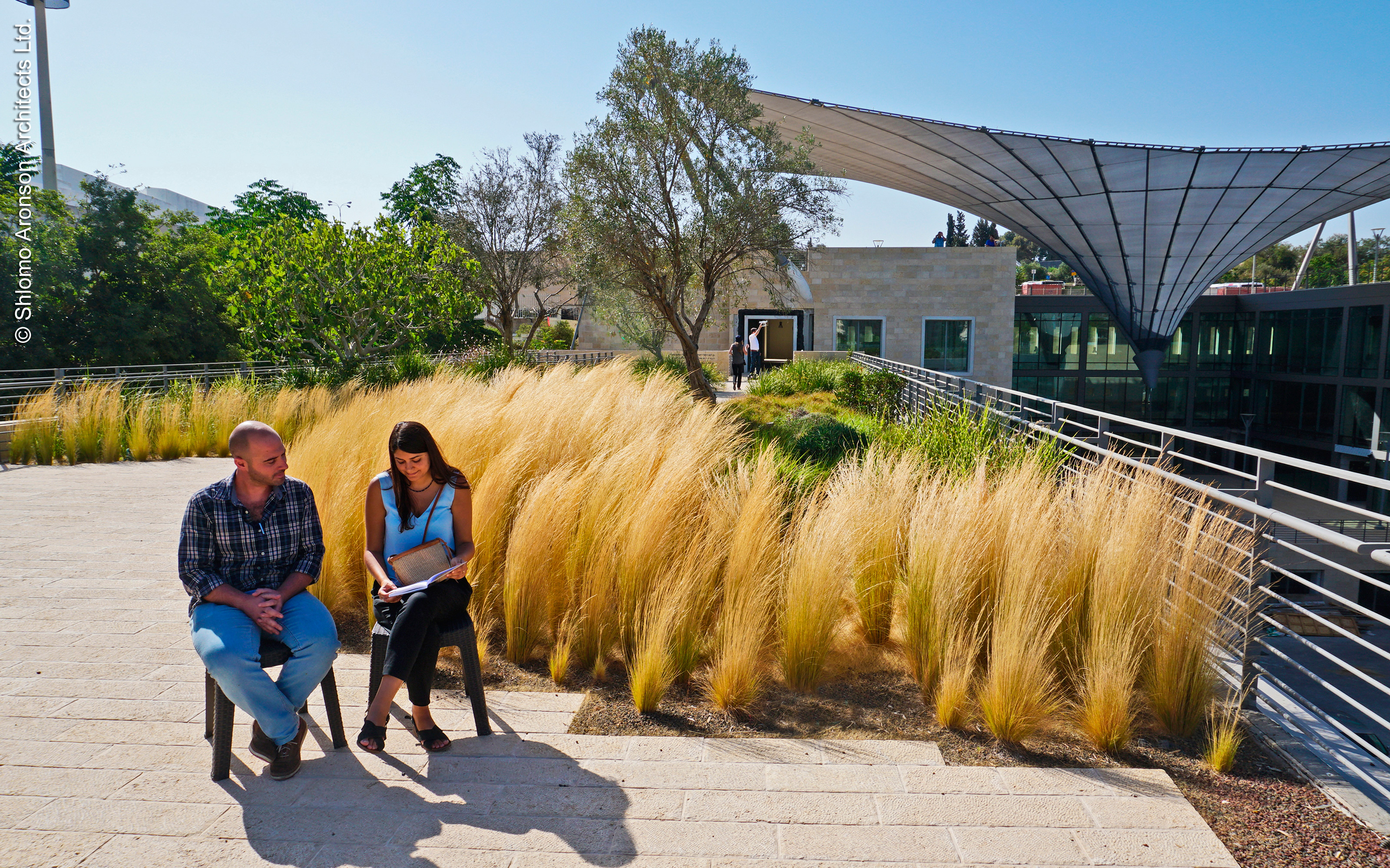 Two people sitting on roof garden in front of ornamental grasses